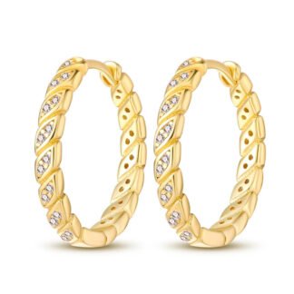 Crystal Star Silver Hoop Earrings