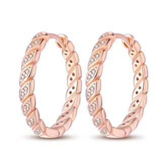 Crystal Star Silver Hoop Earrings