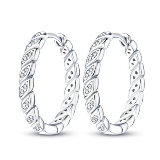 Crystal Star Silver Hoop Earrings