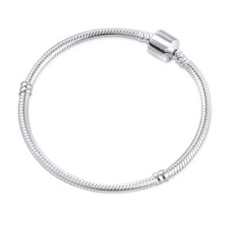 Simple Clasp Charm Bracelet