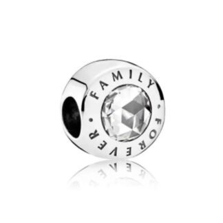 Minimal White Crystal FAMILY FOREVER Charm