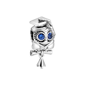 Graduated Owl with Blue Eyes Charm