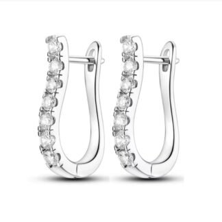 Crystal Silver Hoop Earrings