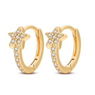 Crystal Star Silver Hoop Earrings