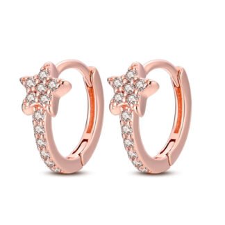 Crystal Star Silver Hoop Earrings