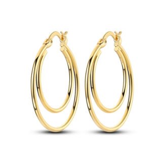 Gold Silver Double Hoop Earrings