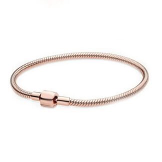 Clasp Charm Bracelet