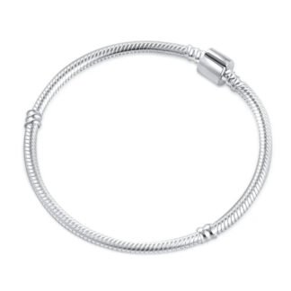 Clasp Charm Bracelet