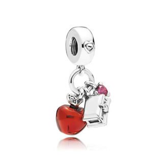 Poison Red Apple Silver Coffin Charm