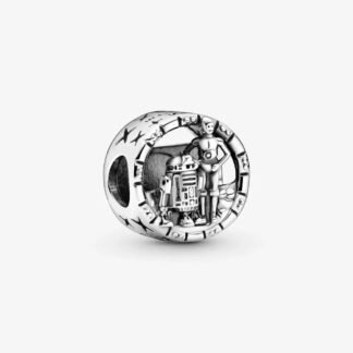 C3PO & R2D2 Star Wars Charm