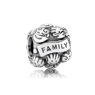 Silver Smiley Faces Family Charm